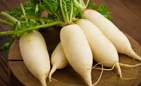Unsuspected Benefits of Radish for Which They Should Eat