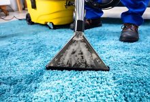 Get Ready to Be Wowed Professional Carpet Cleaning Services That Amaze