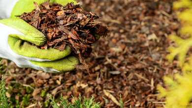 Ohio’s Top Mulch Suppliers: What Questions Should You Ask Before Ordering in Bulk?
