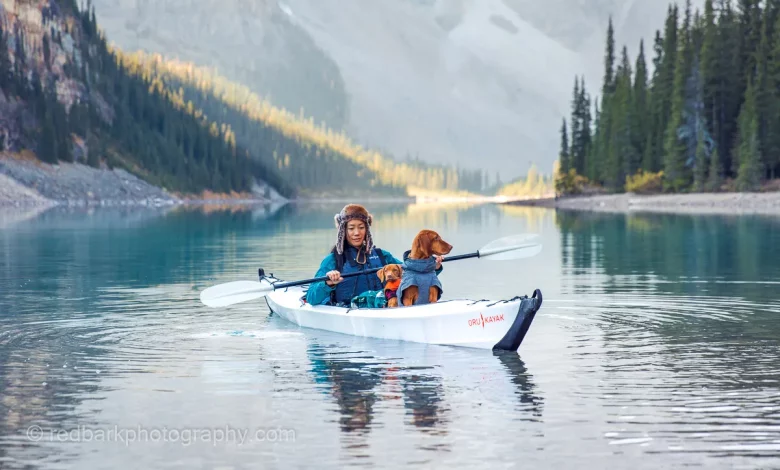 Kayaking with Pets